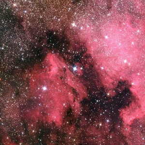 人乳宴掀衣喂乳h
