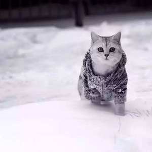 人乳宴掀衣喂乳h
